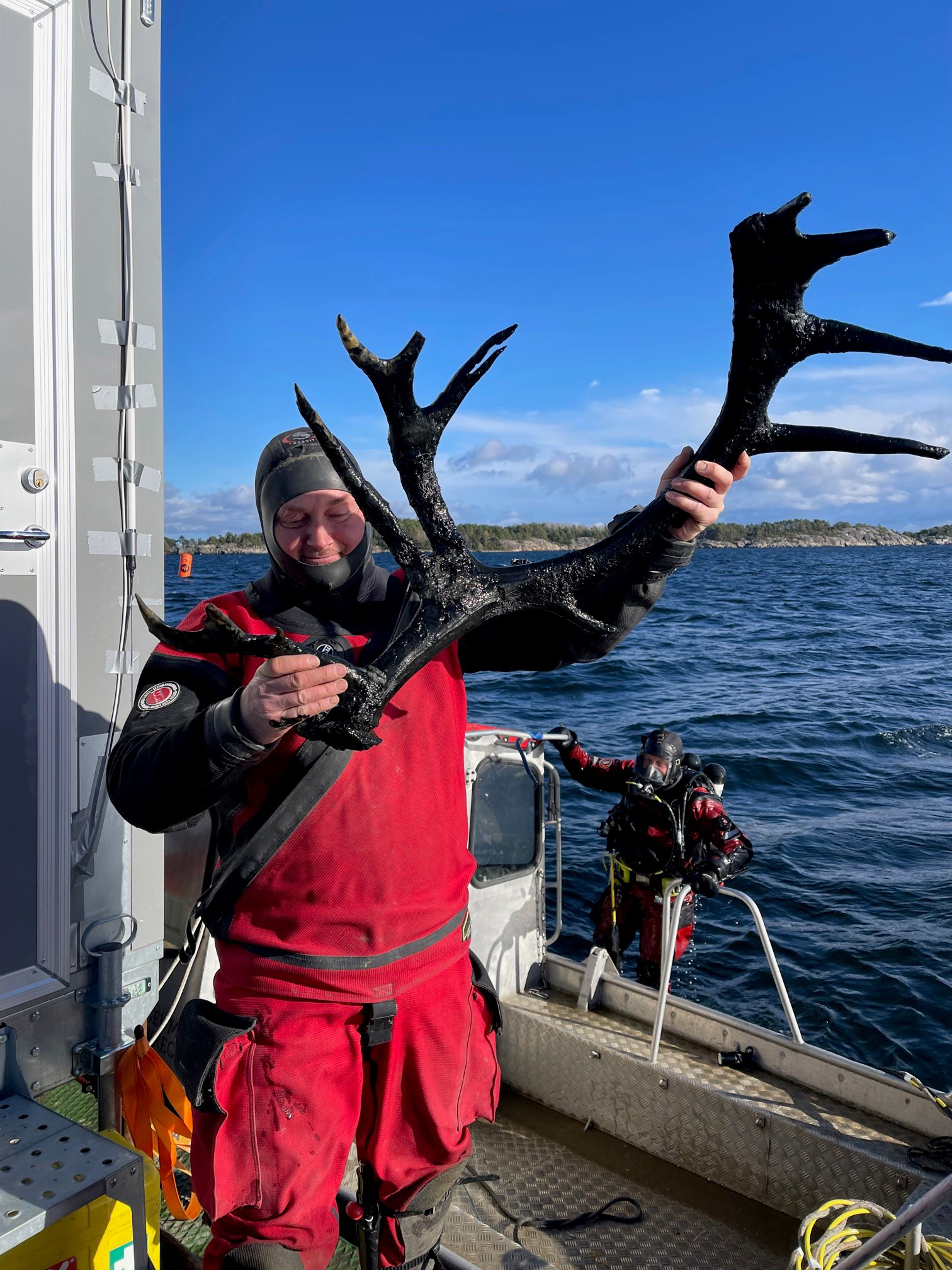 Horn från Osmundvraket Foto: Jim Hansson